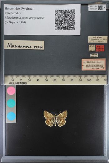 Media type: image;   Entomology 25774